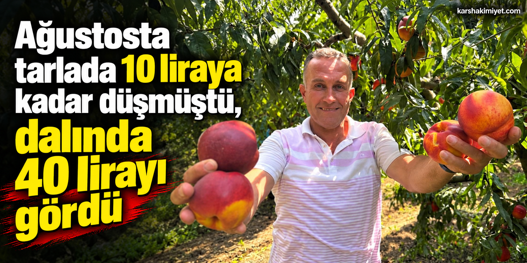 Ağustosta tarlada 10 liraya kadar düşmüştü, dalında 40 lirayı gördü