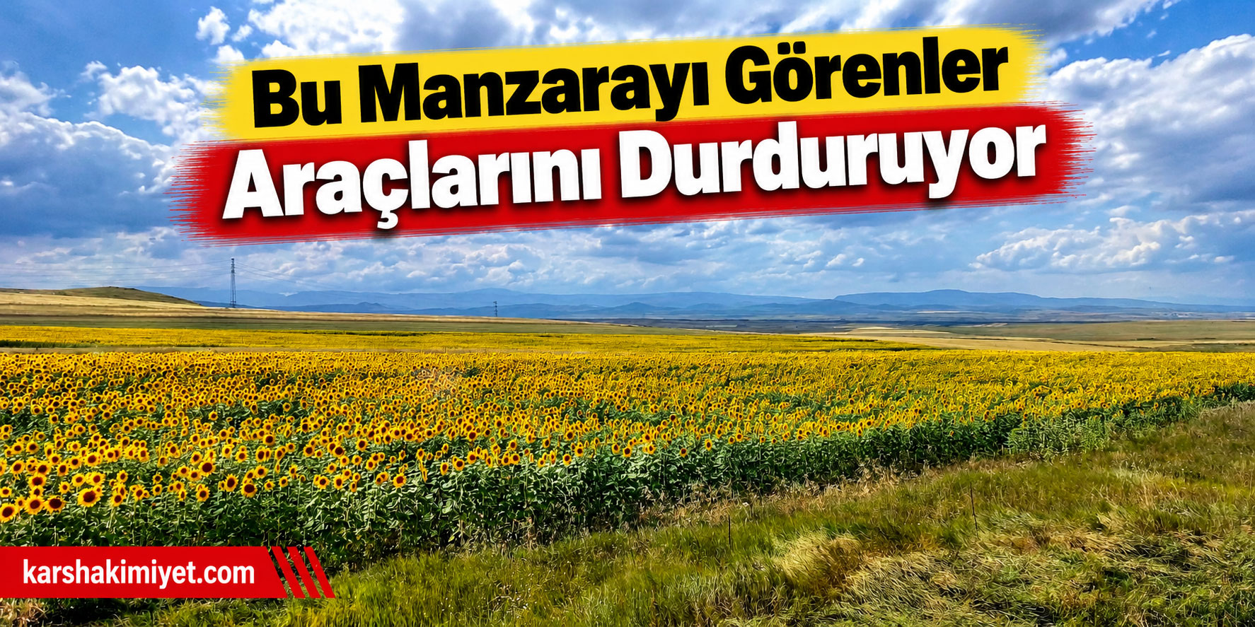 Bu Manzarayı Görenler Araçlarını Durduruyor
