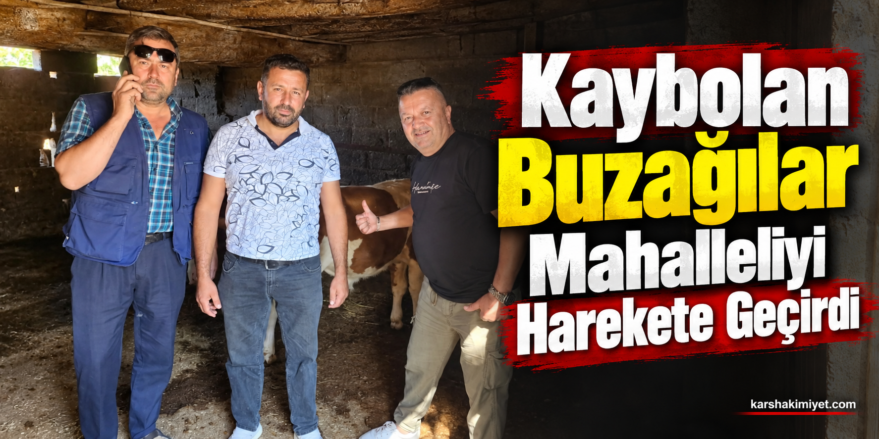Kaybolan Buzağılar Mahalleliyi Harekete Geçirdi