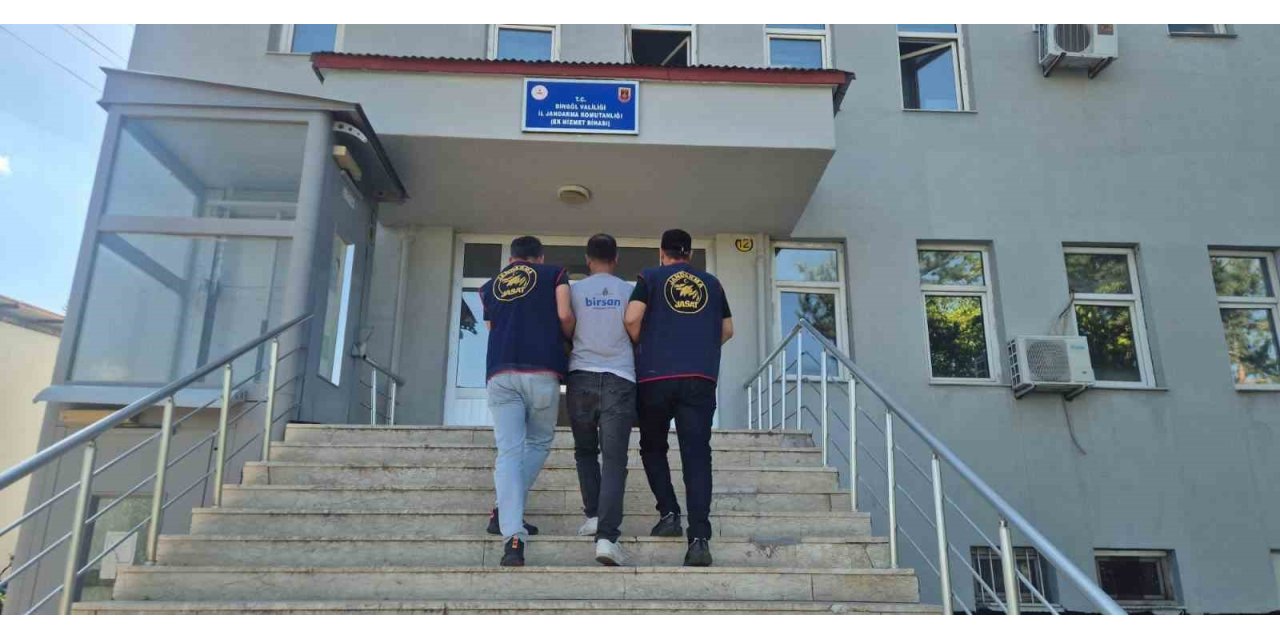 Bingöl’de 5 bin 176 kök kenevir ele geçirildi