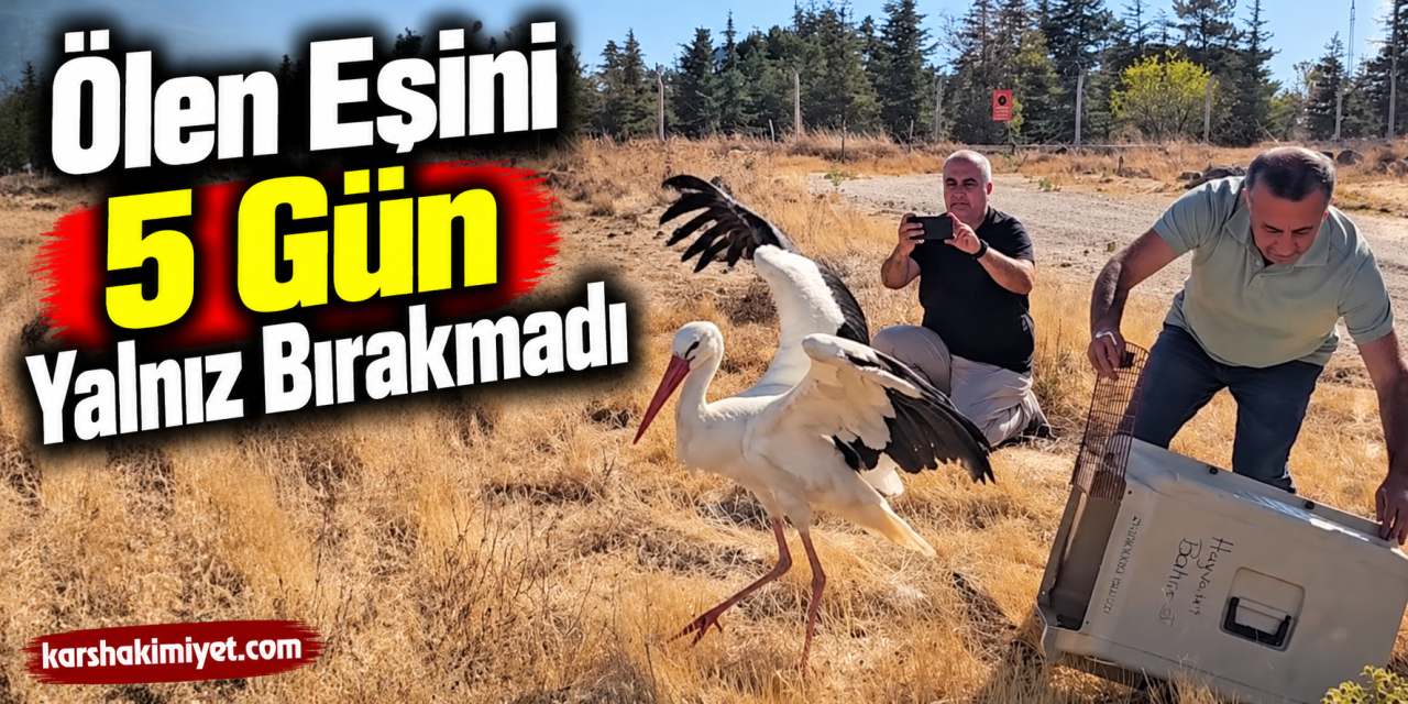 Ölen Eşini 5 Gün Yalnız Bırakmadı
