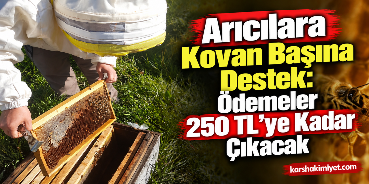Arıcılara Kovan Başına Destek: Ödemeler 250 TL’ye Kadar Çıkacak
