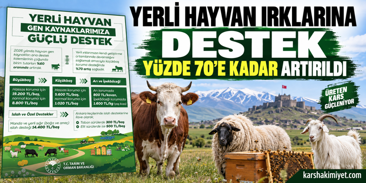 Yerli Hayvan Irklarına Destek Yüzde 70’e Kadar Artırıldı