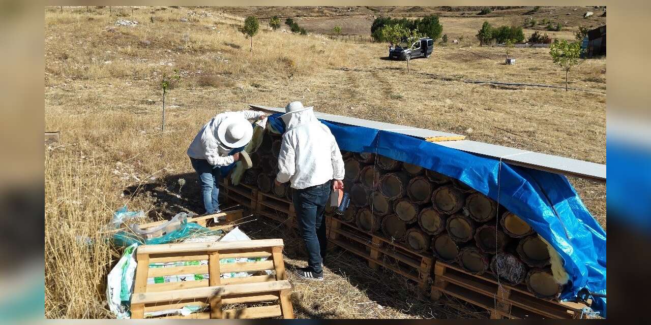 Tunceli’de yüzyıllık arıcılık geleneği yaşatılıyor