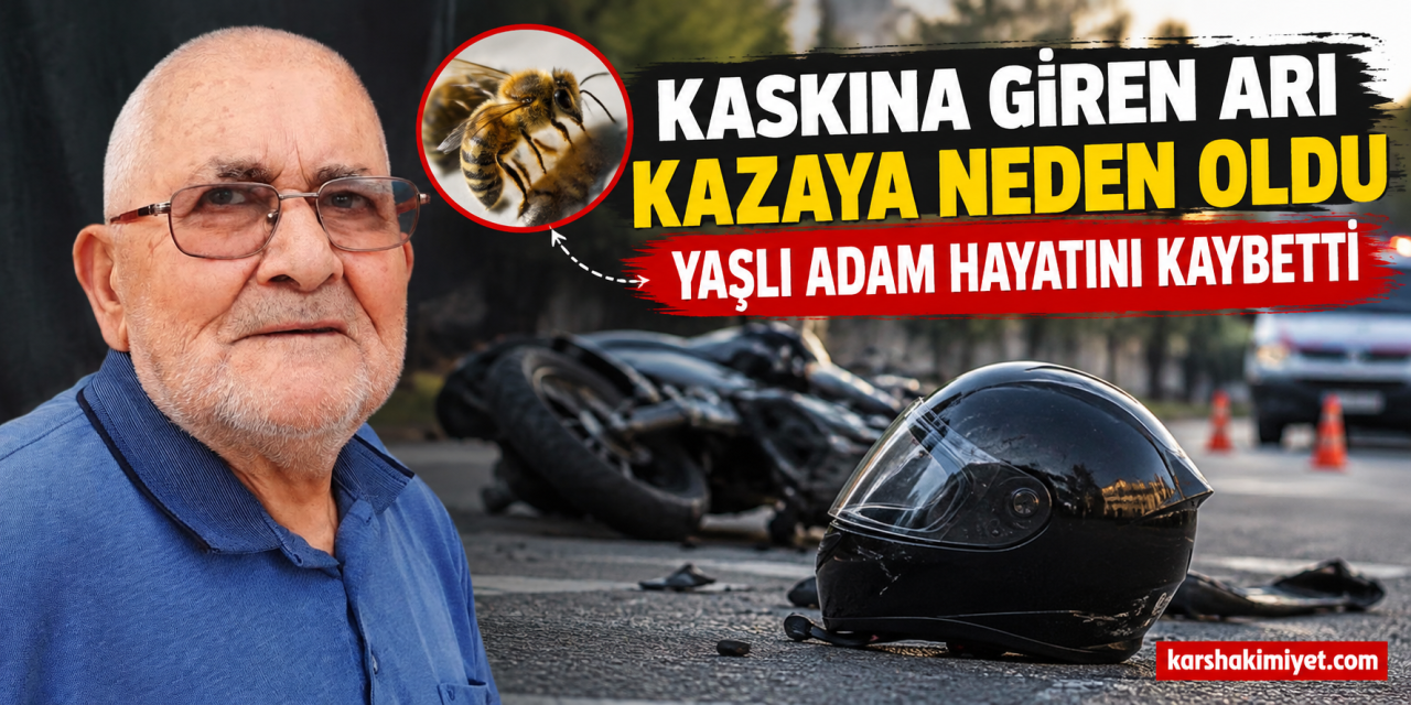 Kaskına Giren Arı Kazaya Neden Oldu: Yaşlı Adam Hayatını Kaybetti