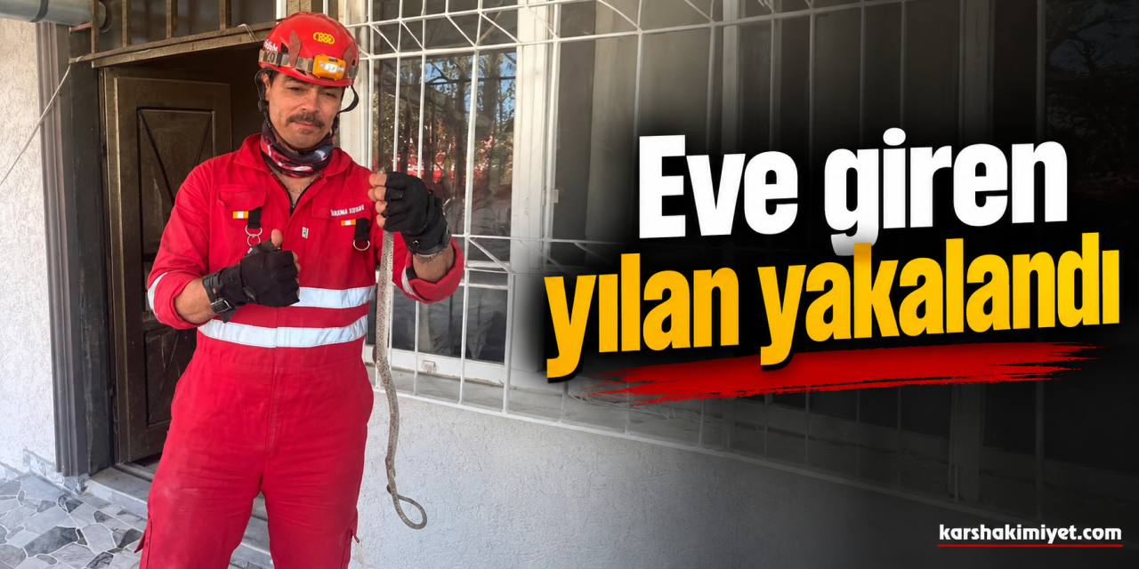 Eve giren yılan yakalandı