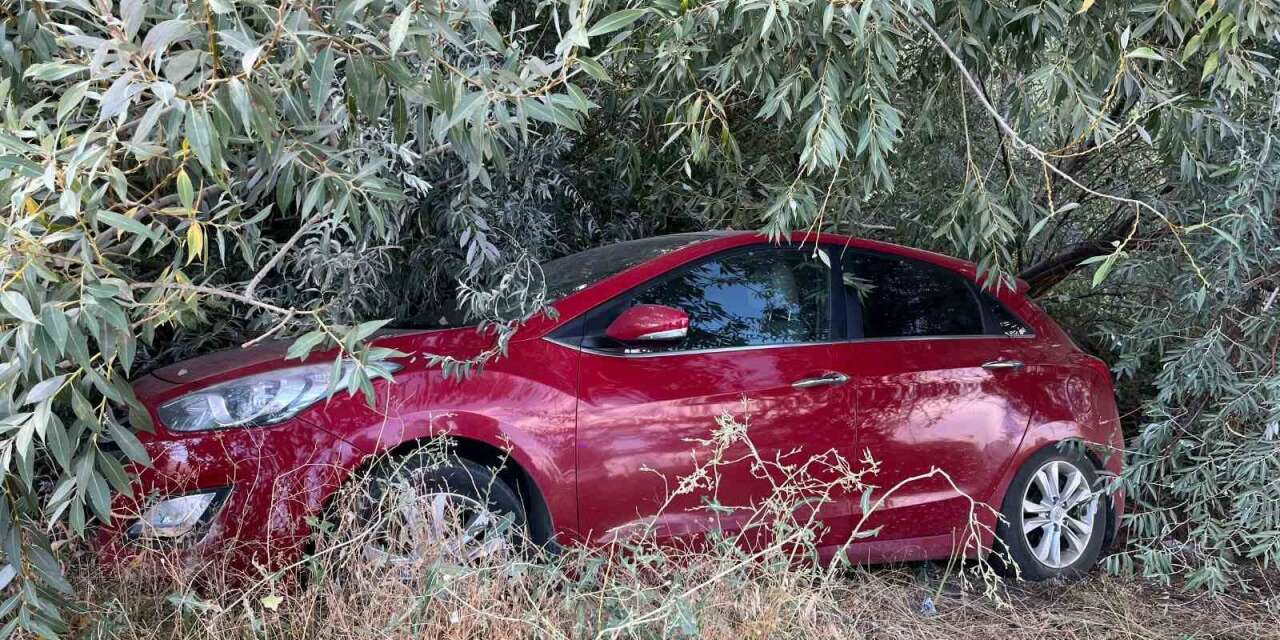 Malatya’da otomobil şarampole devrildi: 1 yaralı