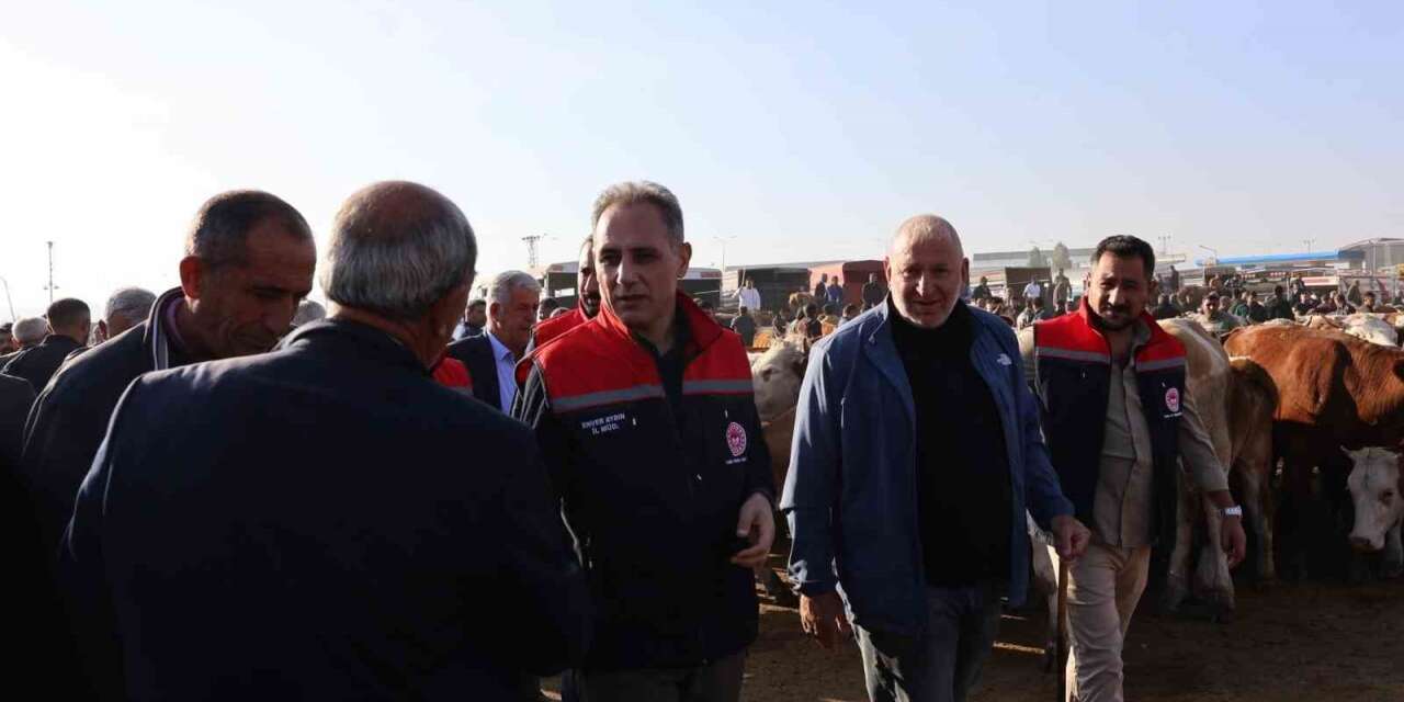Kars Hayvan Pazarı’nda sıkı denetim: Hayvan hareketliliğine sağlık ve güvenlik filtresi