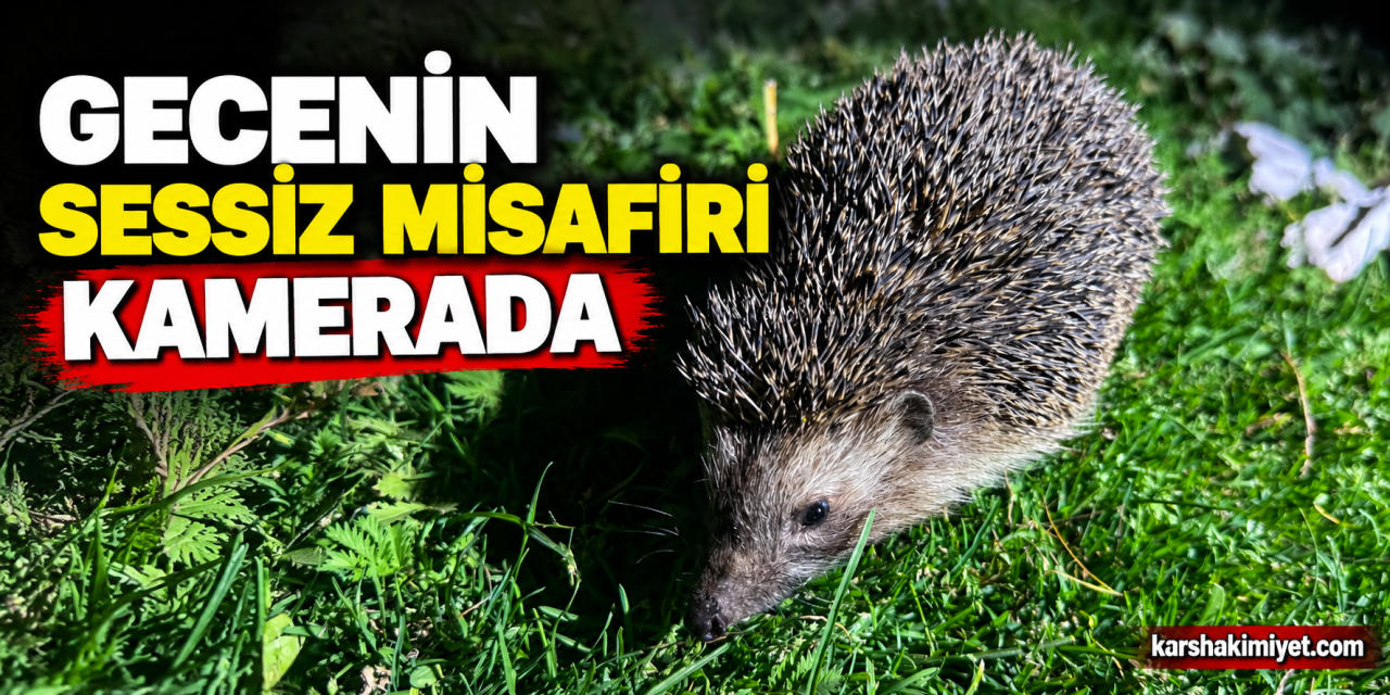 Gecenin Sessiz Misafiri Kamerada