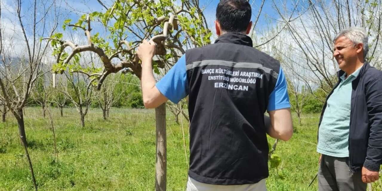 Erzincan’da çiftçilere sahada teknik destek