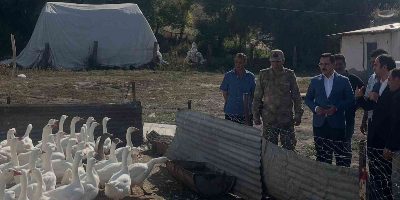 Akyaka’da kaz yetiştiriciliğine yakın takip