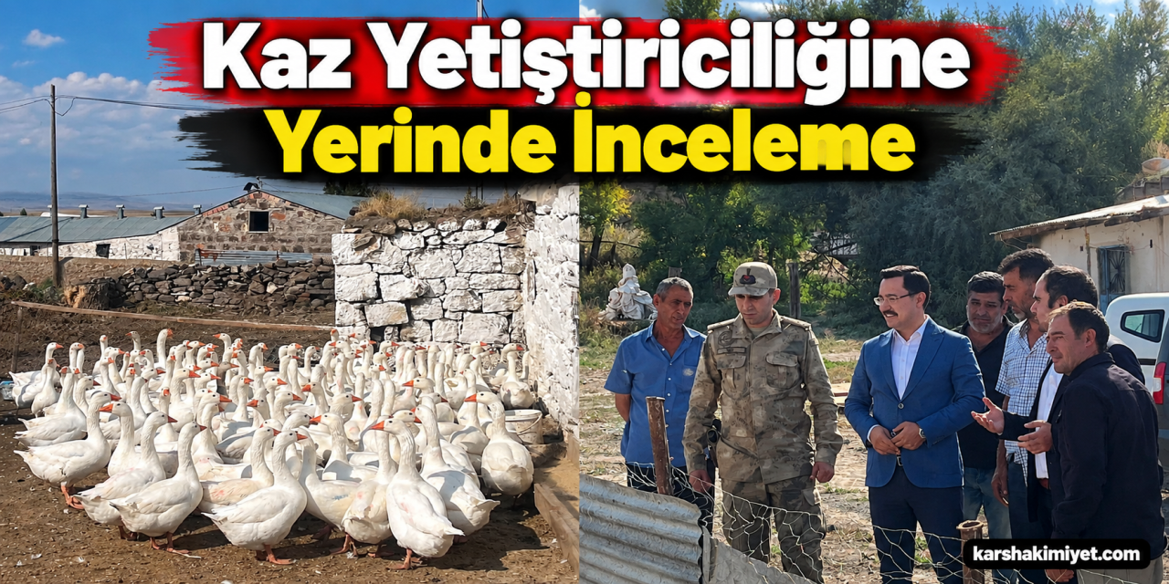 Kaz Yetiştiriciliğine Yerinde İnceleme
