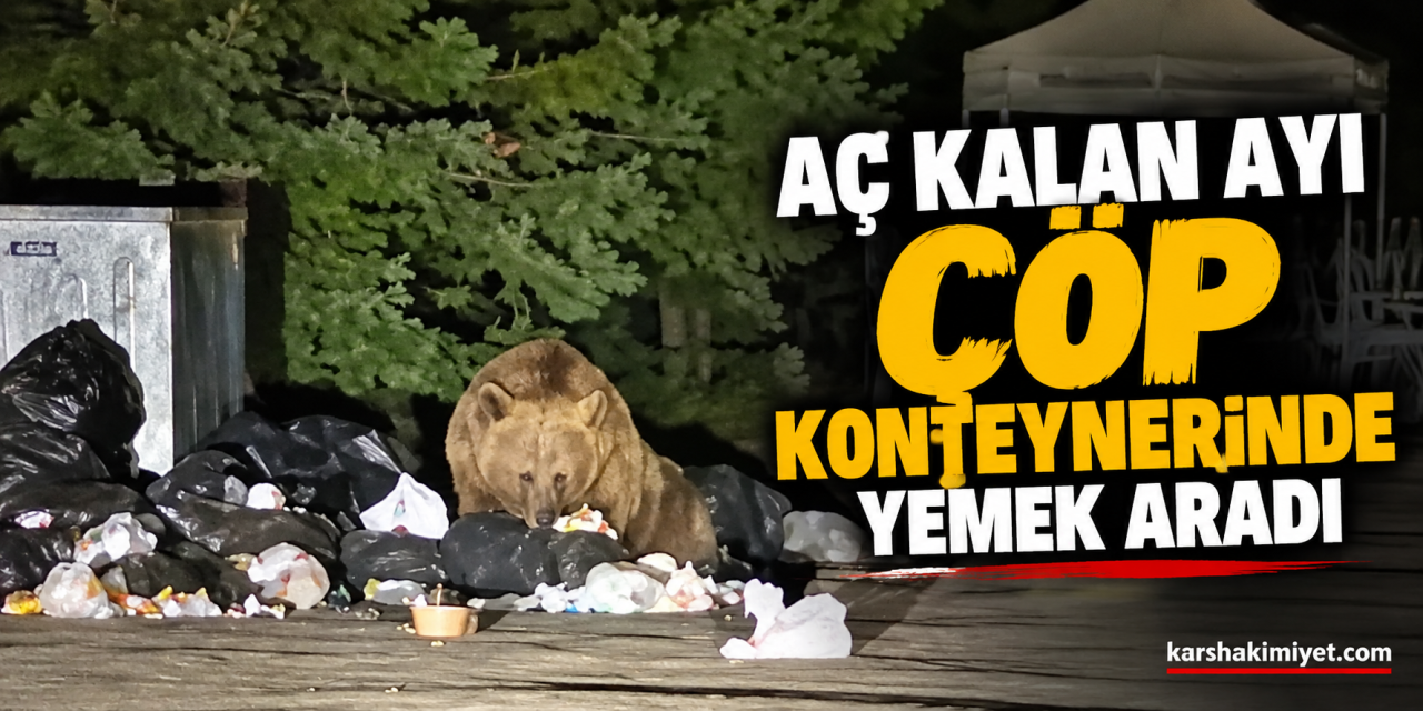 Aç kalan ayı çöp konteynerinde yemek aradı