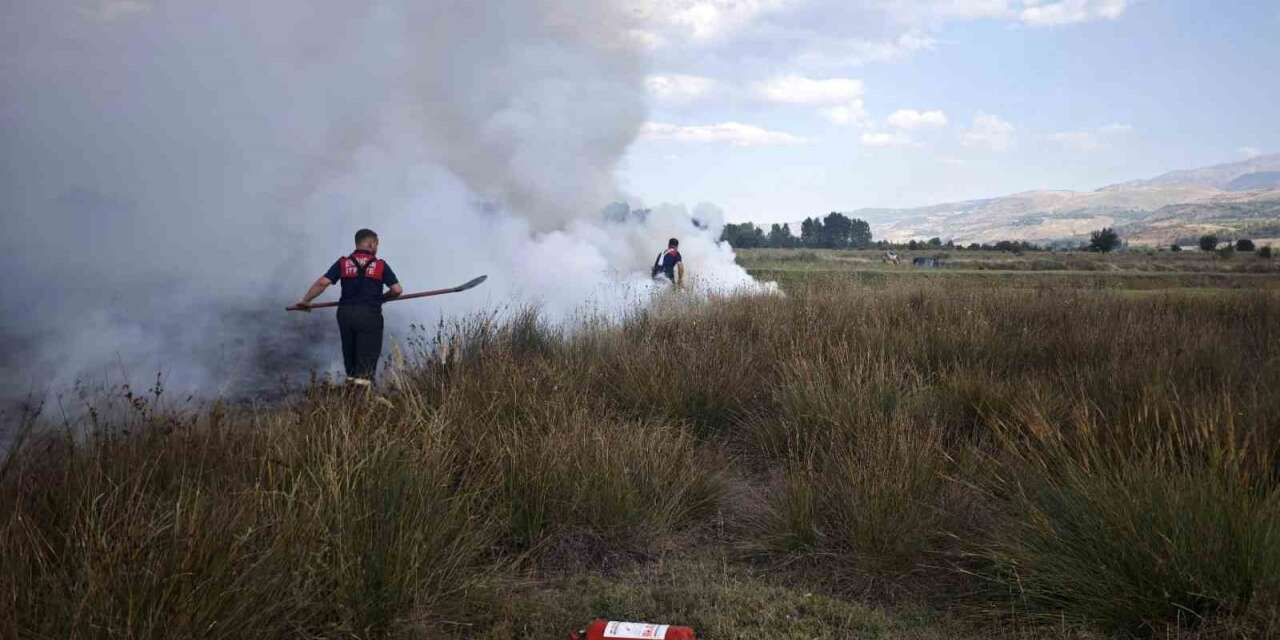 Erzincan’da arazide çıkan yangın söndürüldü