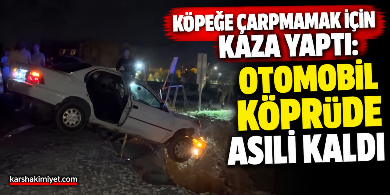 Köpeğe çarpmamak için kaza yaptı: Otomobil köprüde asılı kaldı