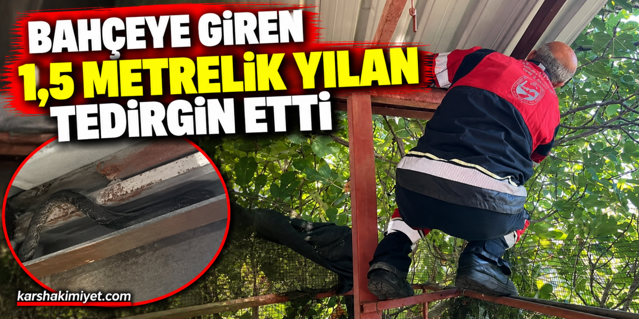 Bahçeye Giren 1,5 Metrelik Yılan Tedirgin Etti