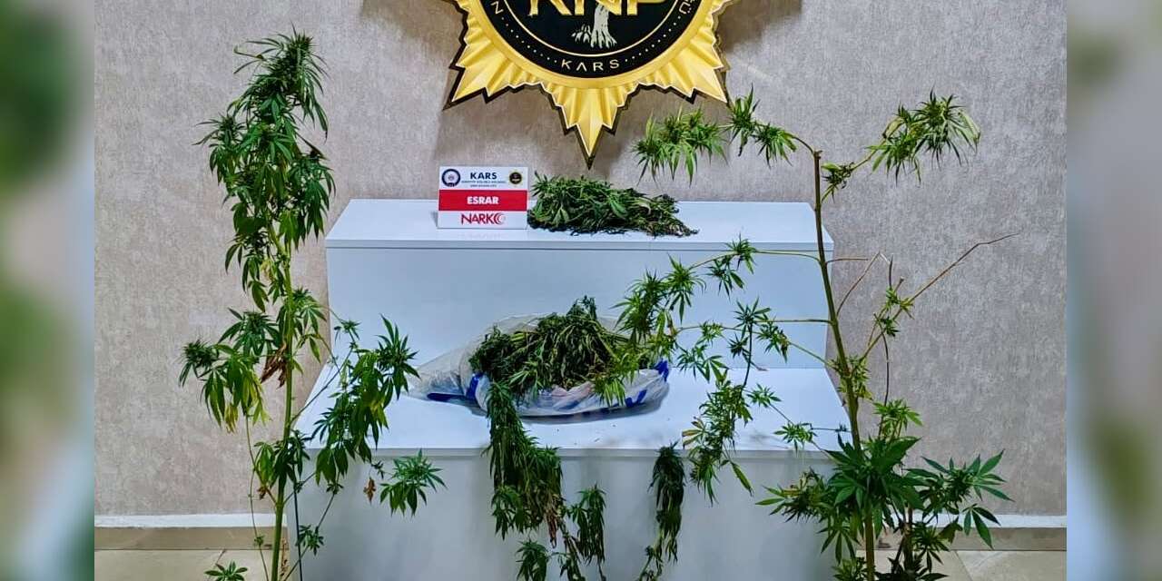 Kars’ta uyuşturucu operasyonu: Evden 272 gram esrar ve 6 kök Hint keneviri çıktı