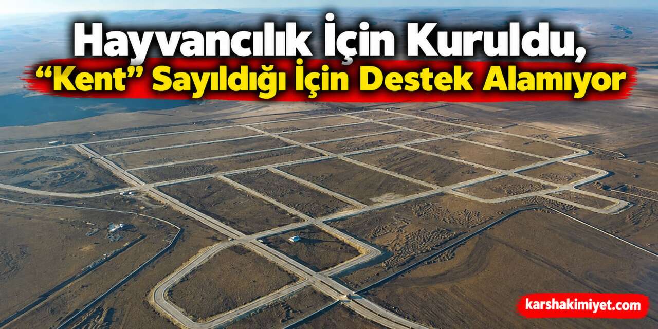 Hayvancılık İçin Kuruldu, “Kent” Sayıldığı İçin Destek Alamıyor