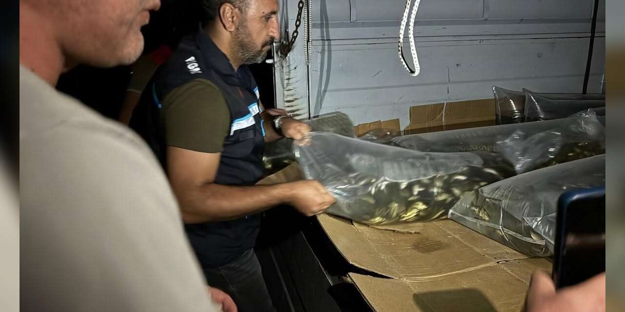 Bitlis’te göl ve göletlere 1 milyon 397 bin 500 yavru sazan bırakıldı