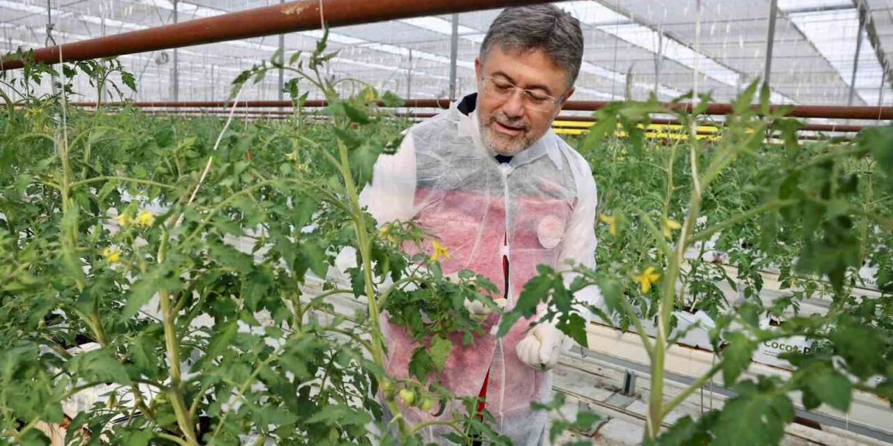 Bakan Yumaklı’dan Erzincan’da jeotermal sera mesajı