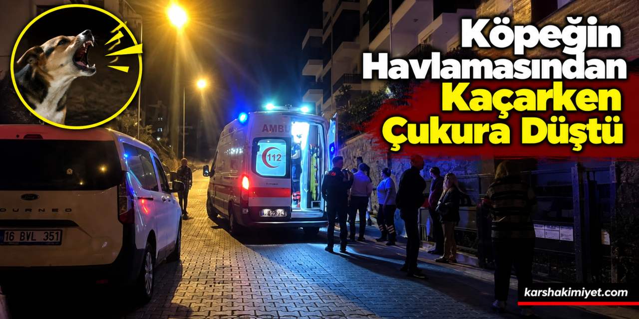 Köpeğin Havlamasından Kaçarken Çukura Düştü