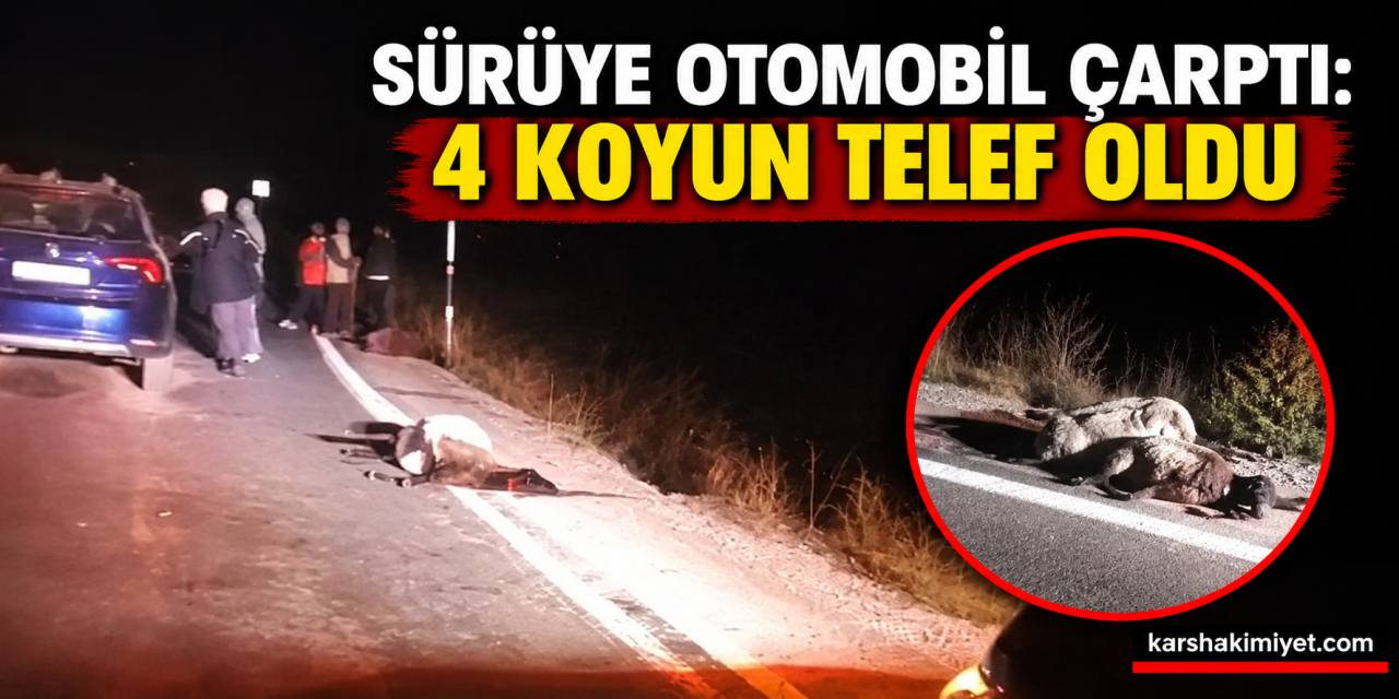 Sürüye otomobil çarptı: 4 koyun telef oldu
