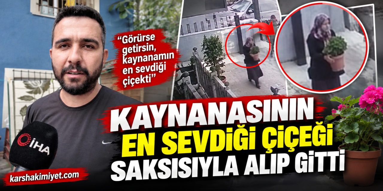 Kaynanasının En Sevdiği Çiçeği Saksısıyla Alıp Gitti