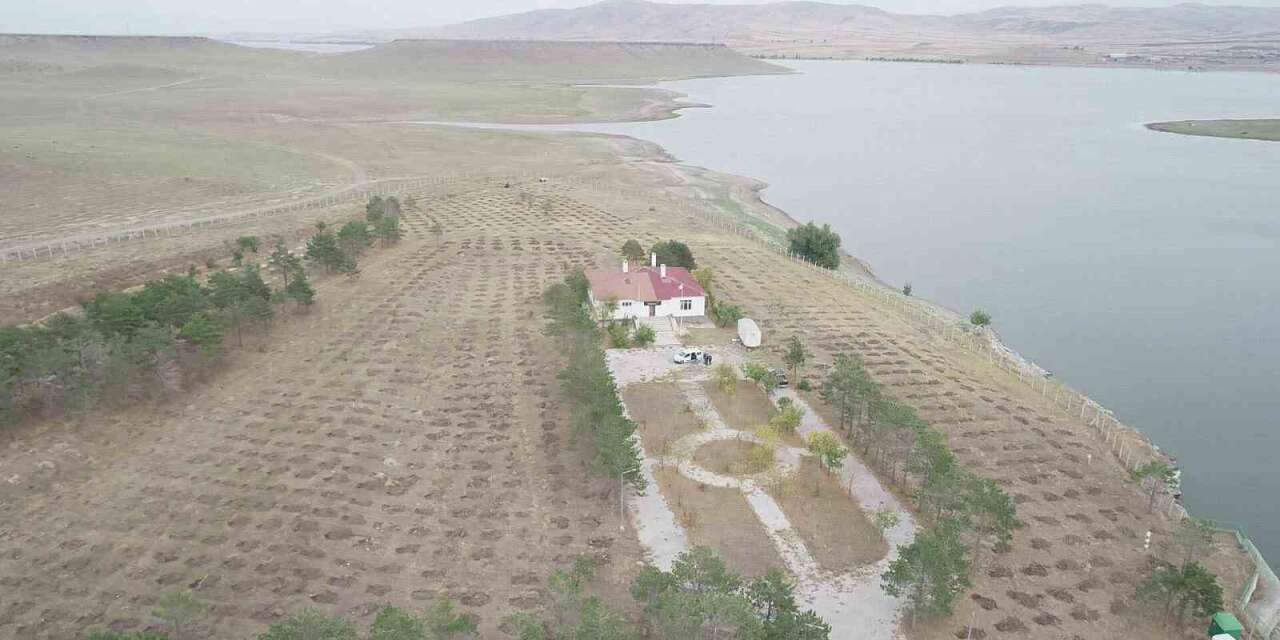Kars’ta "Yeşil Vatan" için kurumlar güçlerini birleştirdi