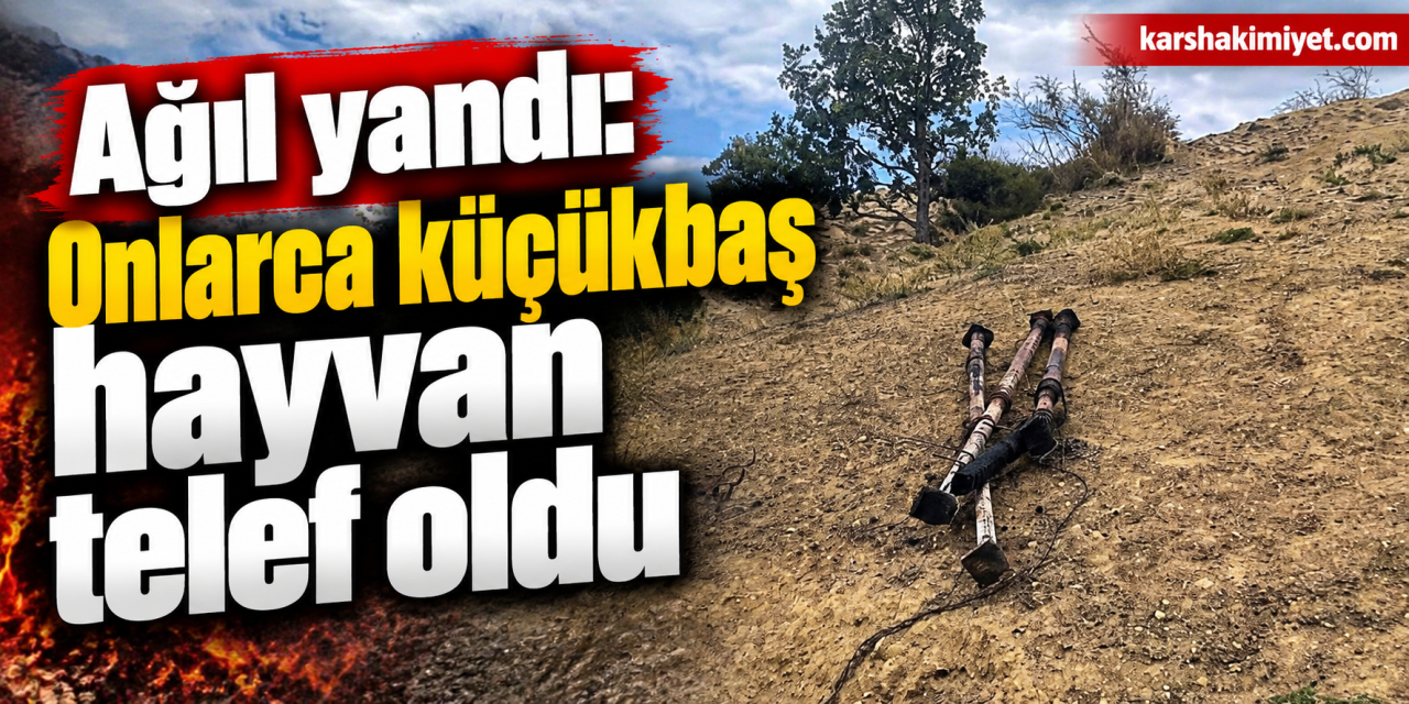 Ağıl yandı: Onlarca küçükbaş hayvan telef oldu