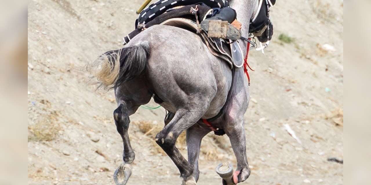 Erzincan’da Atlı Cirit Türkiye Şampiyonası ön eleme müsabakaları tamamlandı