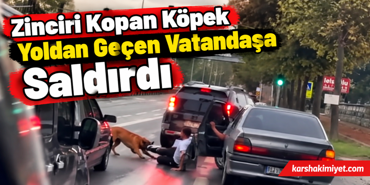 Zinciri Kopan Köpek Yoldan Geçen Vatandaşa Saldırdı