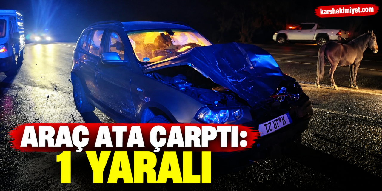 Araç ata çarptı: 1 yaralı