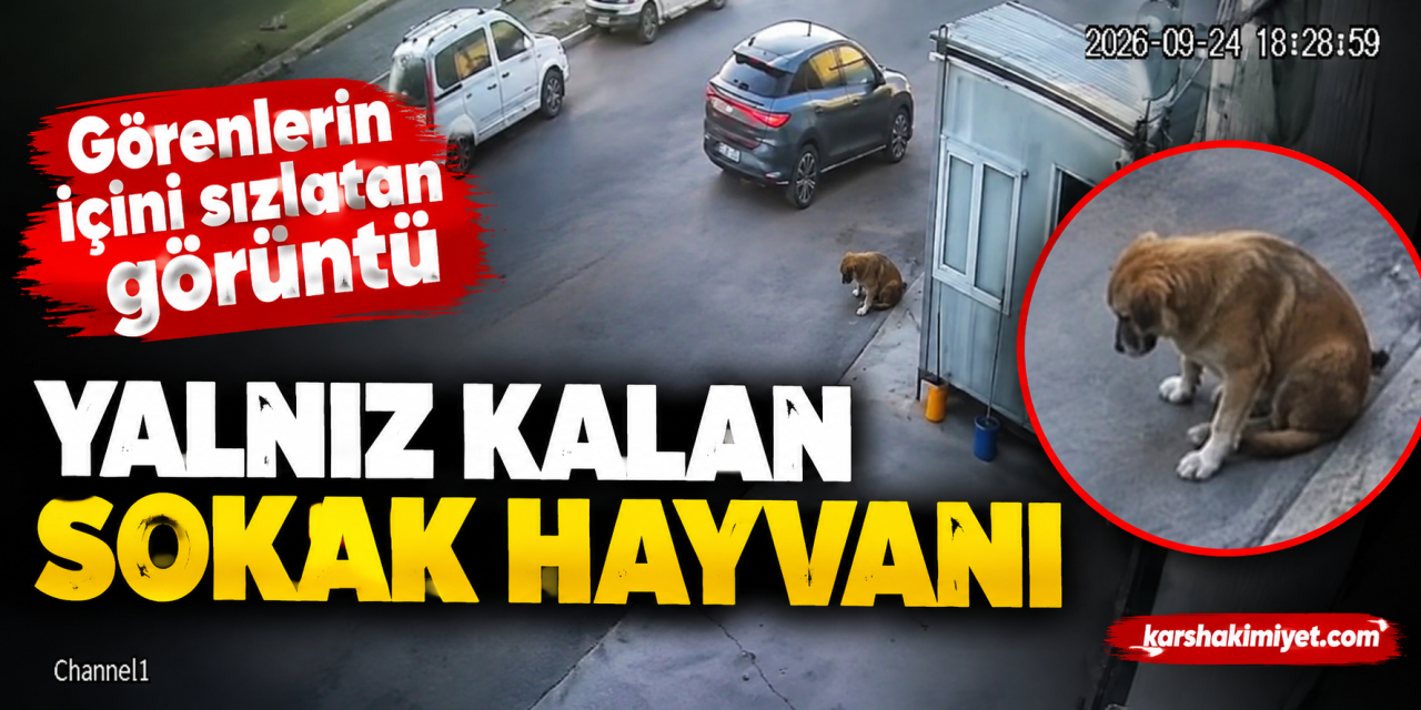 Görenlerin içini sızlatan görüntü