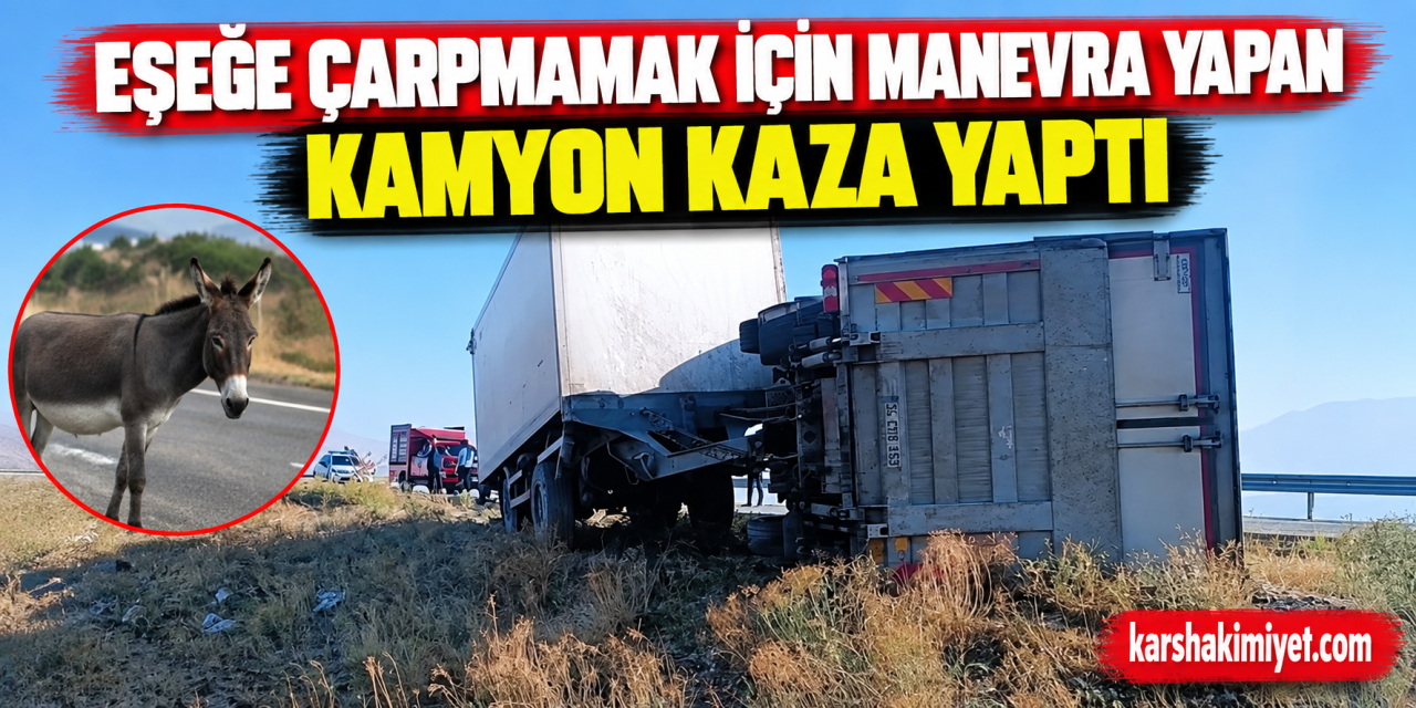 Eşeğe çarpmamak için manevra yapan kamyon kaza yaptı