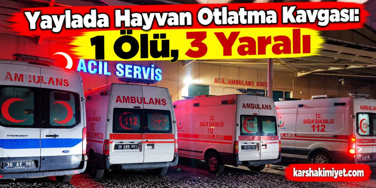 Yaylada Hayvan Otlatma Kavgası: 1 Ölü, 3 Yaralı
