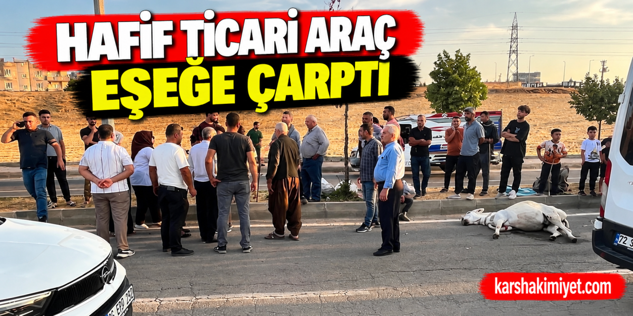 Hafif Ticari Araç Eşeğe Çarptı