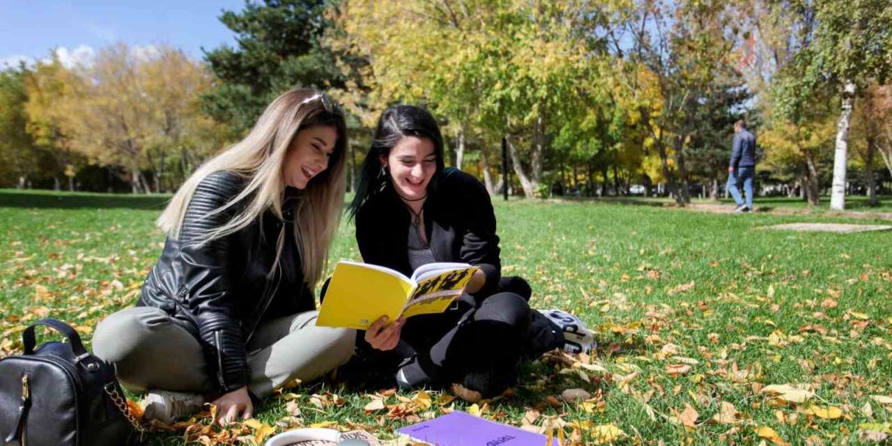 Üniversite öğrencilerinin ağaç algısı bambaşka