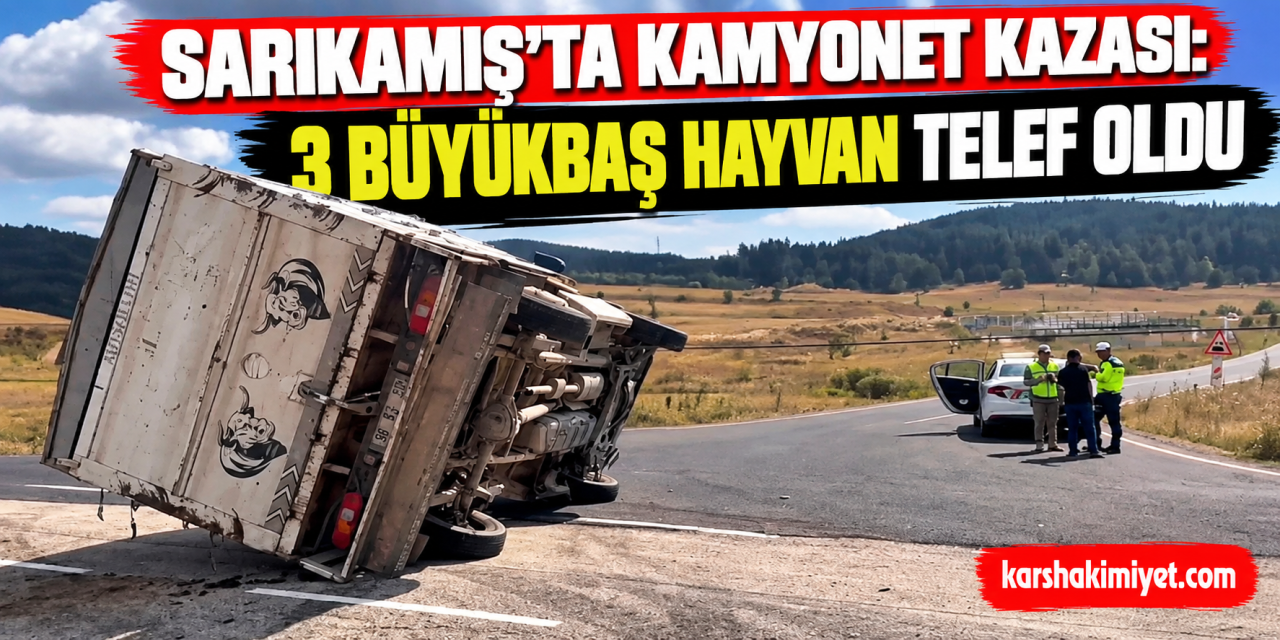 Sarıkamış’ta Kamyonet Kazası: 3 Büyükbaş Hayvan Telef Oldu