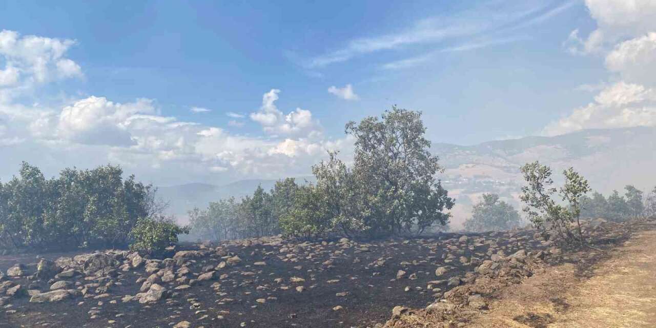 Karakoçan’da çıkan yangın söndürüldü