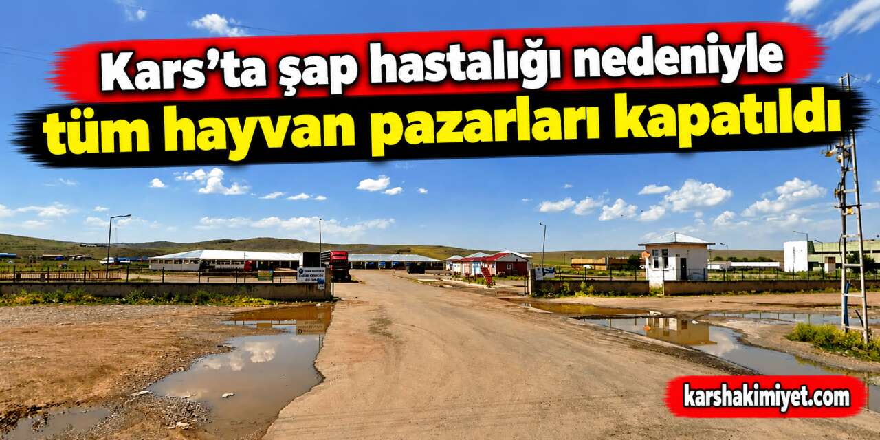 Kars’ta şap hastalığı nedeniyle tüm hayvan pazarları kapatıldı