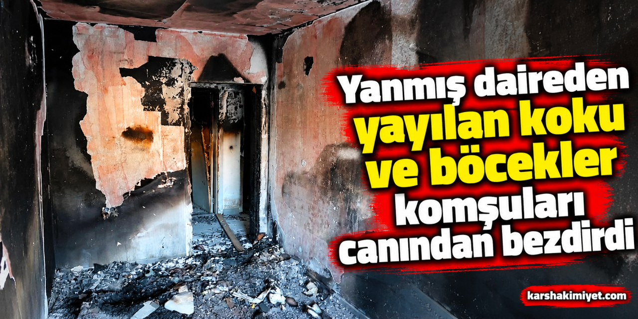 Yanmış daireden yayılan koku ve böcekler komşuları canından bezdirdi