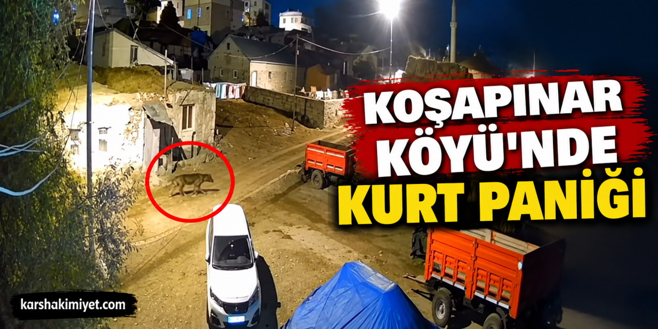 Koşapınar Köyü’nde Kurt Paniği
