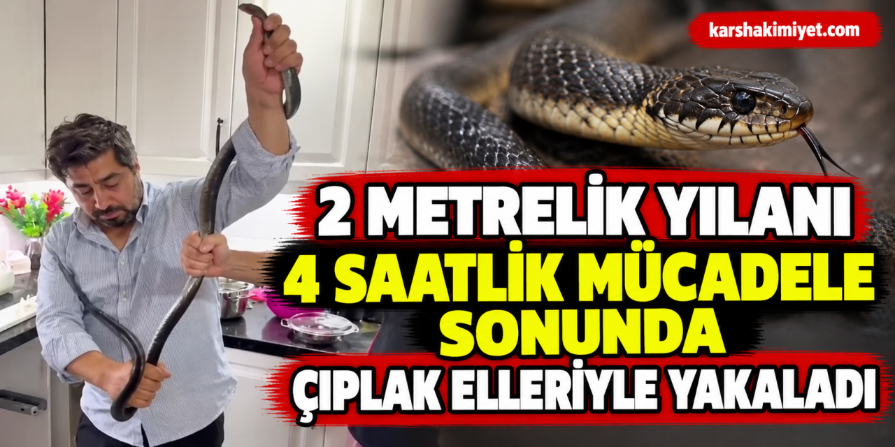 2 metrelik yılanı 4 saatlik mücadele sonunda çıplak elleriyle yakaladı
