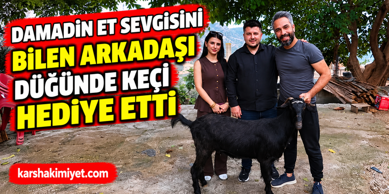 Damadın et sevgisini bilen arkadaşı düğünde keçi hediye etti