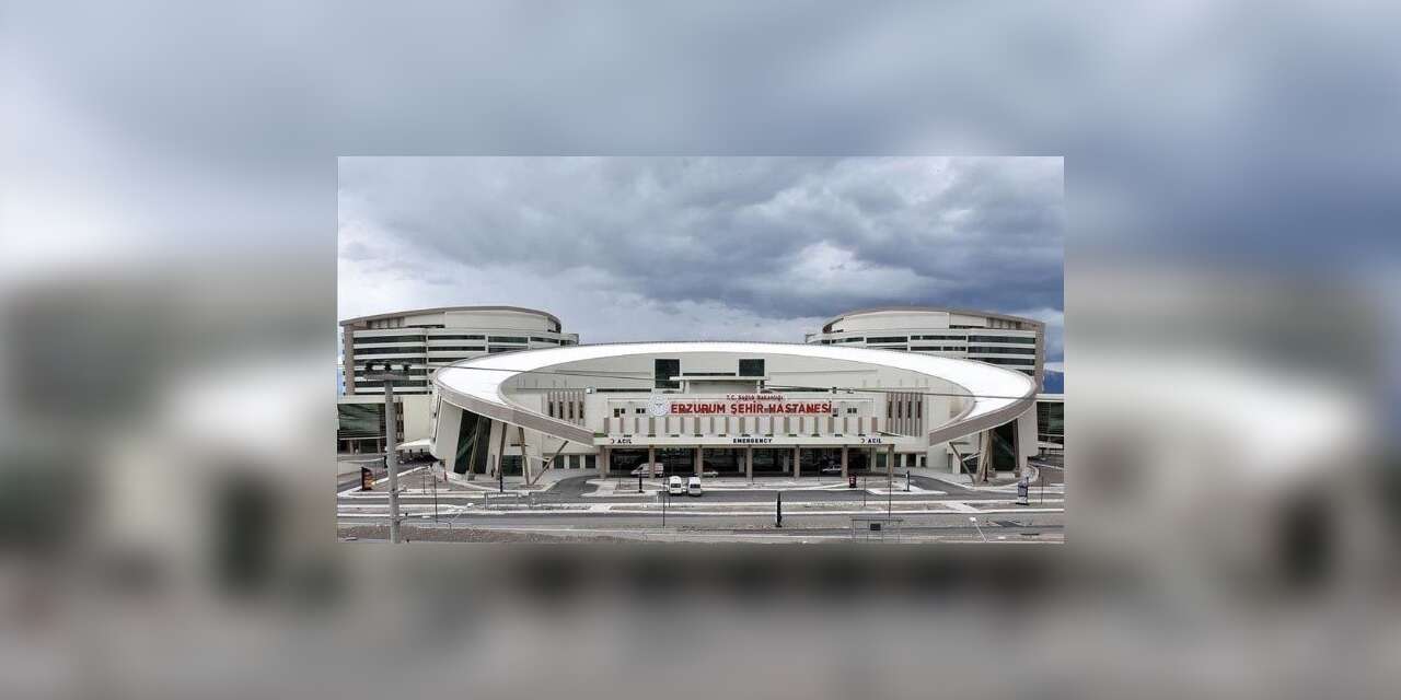 Erzurum’da Sağlıklı Hayat Merkezlerinde çevrim içi danışmanlık dönemi başladı