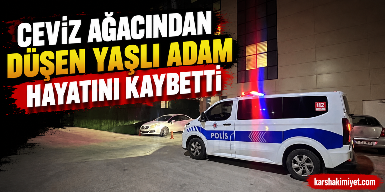 Ceviz ağacından düşen yaşlı adam hayatını kaybetti