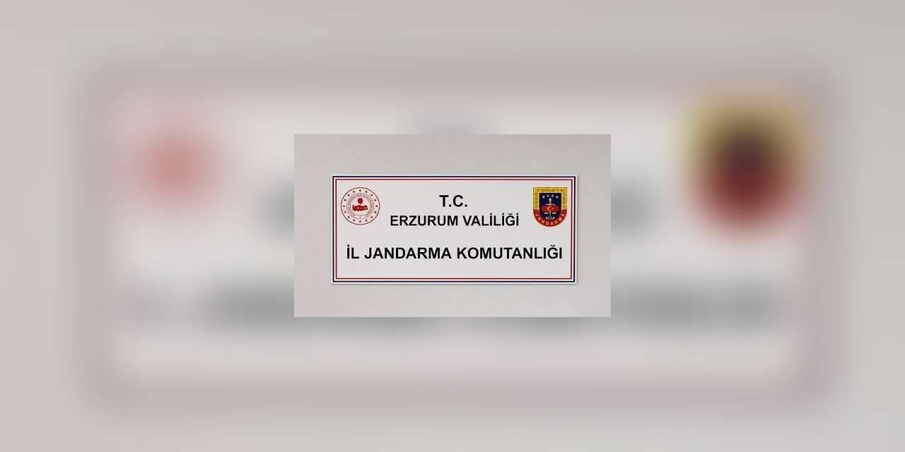Erzurum’da siber suçlardan 25 şahıs hakkında adli işlem başlatıldı