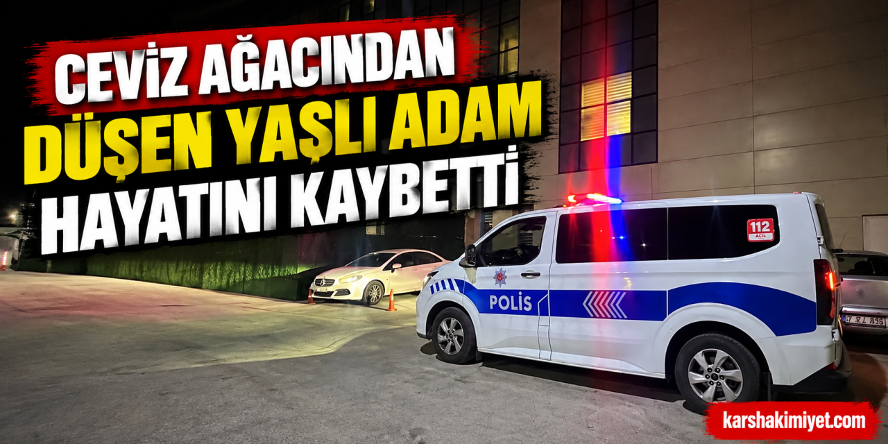 Ceviz ağacından düşen yaşlı adam hayatını kaybetti