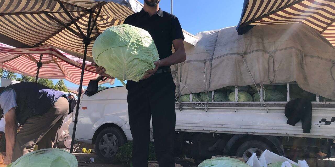 Erzincan’da turşuluk ve yemeklik lahanalar tezgahta yerini aldı
