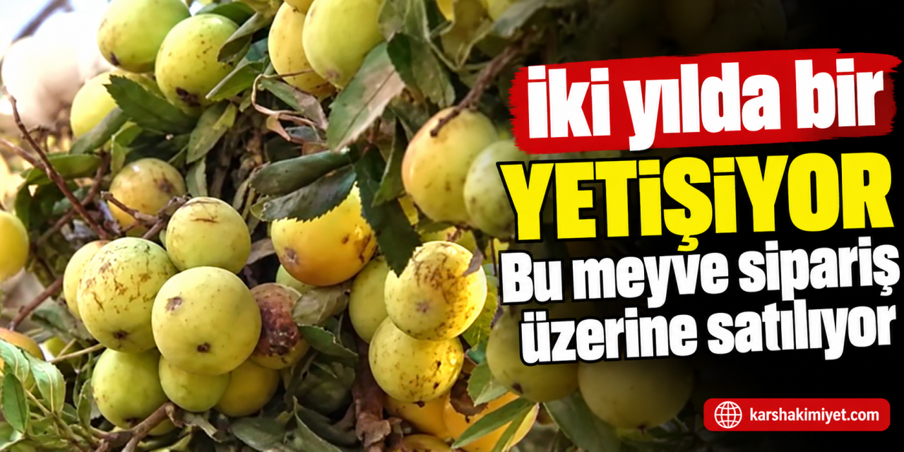 İki yılda bir yetişiyor, bu meyve sipariş üzerine satılıyor